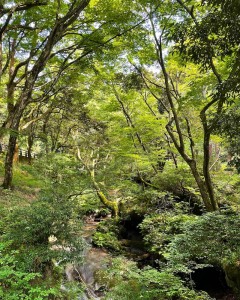 剣龍峡　新発田分院　ブログ1